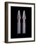 Enterprise Torpedoes, Props Featured in the Nx-01 Armory Set of 'Star Trek: Enterprise', C.2001-null-Framed Giclee Print