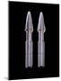 Enterprise Torpedoes, Props Featured in the Nx-01 Armory Set of 'Star Trek: Enterprise', C.2001-null-Mounted Giclee Print