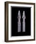 Enterprise Torpedoes, Props Featured in the Nx-01 Armory Set of 'Star Trek: Enterprise', C.2001-null-Framed Giclee Print