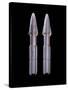 Enterprise Torpedoes, Props Featured in the Nx-01 Armory Set of 'Star Trek: Enterprise', C.2001-null-Stretched Canvas