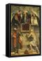 Enthroned Madonna with Child, St Catherine, St Paul and St Jerome, 1543-Moretto Da Brescia-Framed Stretched Canvas