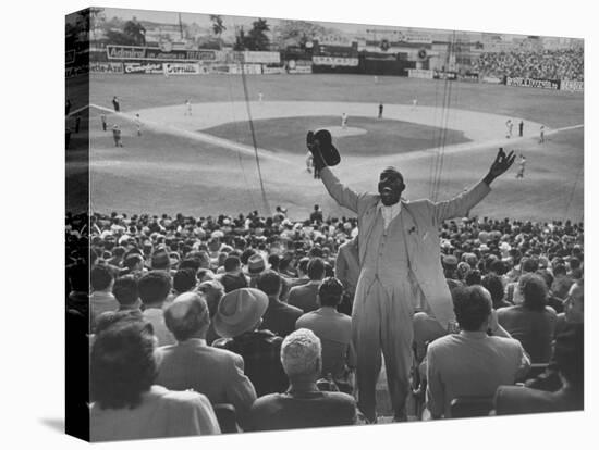 Enthusiastic Fan Cheering in Stands During Cuban Baseball Game-Mark Kauffman-Stretched Canvas