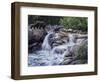 Entiat Falls-Grizzly Family-Jeff Tift-Framed Giclee Print