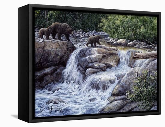 Entiat Falls-Grizzly Family-Jeff Tift-Framed Stretched Canvas