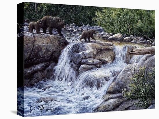 Entiat Falls-Grizzly Family-Jeff Tift-Stretched Canvas