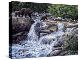 Entiat Falls-Grizzly Family-Jeff Tift-Stretched Canvas