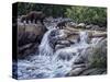 Entiat Falls-Grizzly Family-Jeff Tift-Stretched Canvas