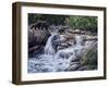 Entiat Falls-Grizzly Family-Jeff Tift-Framed Giclee Print