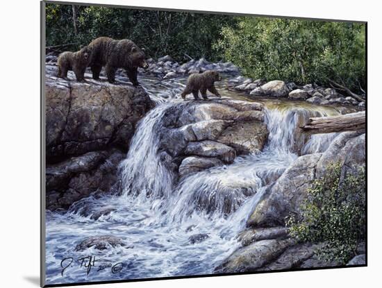 Entiat Falls-Grizzly Family-Jeff Tift-Mounted Giclee Print
