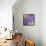 Enticing Wisteria-Jai Johnson-Framed Stretched Canvas displayed on a wall