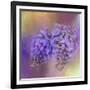 Enticing Wisteria-Jai Johnson-Framed Giclee Print