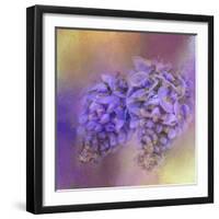 Enticing Wisteria-Jai Johnson-Framed Giclee Print