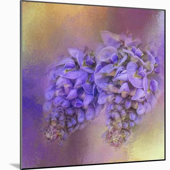 Enticing Wisteria-Jai Johnson-Mounted Giclee Print