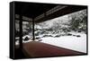 Entoku-in temple garden in winter, Kyoto, Japan, Asia-Damien Douxchamps-Framed Stretched Canvas