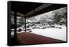 Entoku-in temple garden in winter, Kyoto, Japan, Asia-Damien Douxchamps-Framed Stretched Canvas