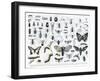 Entomology-null-Framed Giclee Print