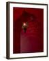 Entrance and Lantern in a Riad in the Medina, Marrakech, Morocco-David H. Wells-Framed Premium Photographic Print