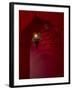 Entrance and Lantern in a Riad in the Medina, Marrakech, Morocco-David H. Wells-Framed Premium Photographic Print