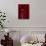 Entrance and Lantern in a Riad in the Medina, Marrakech, Morocco-David H. Wells-Photographic Print displayed on a wall