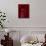 Entrance and Lantern in a Riad in the Medina, Marrakech, Morocco-David H. Wells-Mounted Photographic Print displayed on a wall