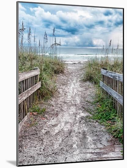 Entrance Beach-Mary Lou Johnson-Mounted Photo