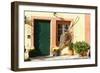 Entrance Door, Farmhouse-Fact-Framed Photographic Print