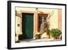 Entrance Door, Farmhouse-Fact-Framed Photographic Print