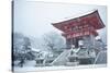 Entrance gate of Kiyomizu-dera Temple during snow storm, UNESCO World Heritage Site, Kyoto, Japan,-Damien Douxchamps-Stretched Canvas