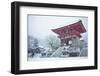 Entrance gate of Kiyomizu-dera Temple during snow storm, UNESCO World Heritage Site, Kyoto, Japan,-Damien Douxchamps-Framed Photographic Print