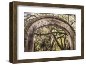 Entrance gate to Wormsloe Plantation, Savannah, Georgia.-Richard T Nowitz-Framed Photographic Print