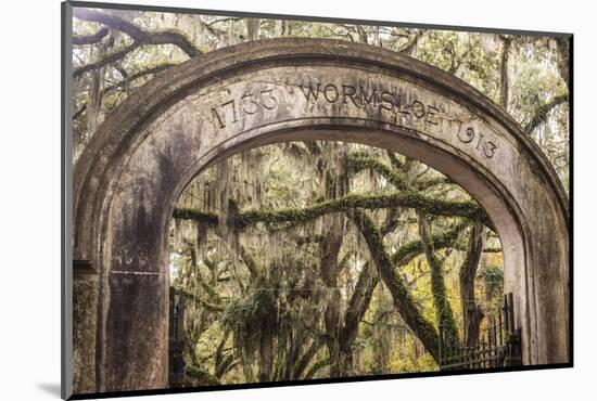 Entrance gate to Wormsloe Plantation, Savannah, Georgia.-Richard T Nowitz-Mounted Photographic Print