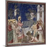Entrance into Jerusalem-Giotto di Bondone-Mounted Giclee Print