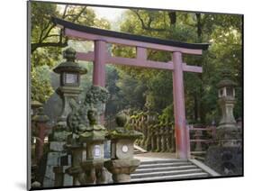 Entrance, Kasuga-Taisha Shrine, Nara, Kansai, Honshu, Japan-Schlenker Jochen-Mounted Photographic Print