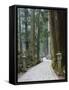 Entrance Path, Okunoin Graveyard, Site of 20000 Buddhist Gravestones, Koya-San, Honshu, Japan-Schlenker Jochen-Framed Stretched Canvas