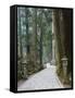 Entrance Path, Okunoin Graveyard, Site of 20000 Buddhist Gravestones, Koya-San, Honshu, Japan-Schlenker Jochen-Framed Stretched Canvas