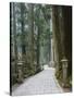 Entrance Path, Okunoin Graveyard, Site of 20000 Buddhist Gravestones, Koya-San, Honshu, Japan-Schlenker Jochen-Stretched Canvas