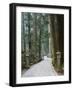 Entrance Path, Okunoin Graveyard, Site of 20000 Buddhist Gravestones, Koya-San, Honshu, Japan-Schlenker Jochen-Framed Photographic Print