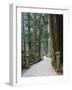 Entrance Path, Okunoin Graveyard, Site of 20000 Buddhist Gravestones, Koya-San, Honshu, Japan-Schlenker Jochen-Framed Photographic Print