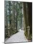 Entrance Path, Okunoin Graveyard, Site of 20000 Buddhist Gravestones, Koya-San, Honshu, Japan-Schlenker Jochen-Mounted Photographic Print