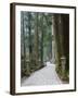Entrance Path, Okunoin Graveyard, Site of 20000 Buddhist Gravestones, Koya-San, Honshu, Japan-Schlenker Jochen-Framed Photographic Print