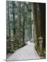 Entrance Path, Okunoin Graveyard, Site of 20000 Buddhist Gravestones, Koya-San, Honshu, Japan-Schlenker Jochen-Mounted Photographic Print