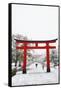Entrance path to Fushimi Inari Shrine in winter, Kyoto, Japan, Asia-Damien Douxchamps-Framed Stretched Canvas