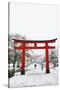 Entrance path to Fushimi Inari Shrine in winter, Kyoto, Japan, Asia-Damien Douxchamps-Stretched Canvas