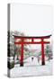 Entrance path to Fushimi Inari Shrine in winter, Kyoto, Japan, Asia-Damien Douxchamps-Stretched Canvas