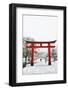 Entrance path to Fushimi Inari Shrine in winter, Kyoto, Japan, Asia-Damien Douxchamps-Framed Photographic Print