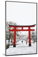 Entrance path to Fushimi Inari Shrine in winter, Kyoto, Japan, Asia-Damien Douxchamps-Mounted Photographic Print