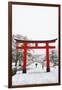 Entrance path to Fushimi Inari Shrine in winter, Kyoto, Japan, Asia-Damien Douxchamps-Framed Photographic Print