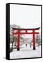 Entrance path to Fushimi Inari Shrine in winter, Kyoto, Japan, Asia-Damien Douxchamps-Framed Stretched Canvas