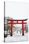 Entrance path to Fushimi Inari Shrine in winter, Kyoto, Japan, Asia-Damien Douxchamps-Stretched Canvas