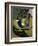 Entrance to a Lane-Graham Sutherland-Framed Giclee Print